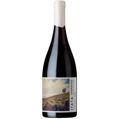 De Martino Ungrafted Itata Cinsault 2024