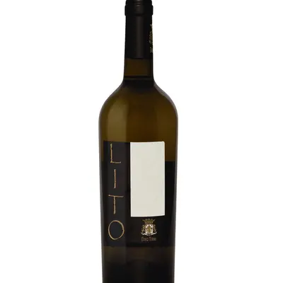 Dieci Terre Lito Bianco 2019