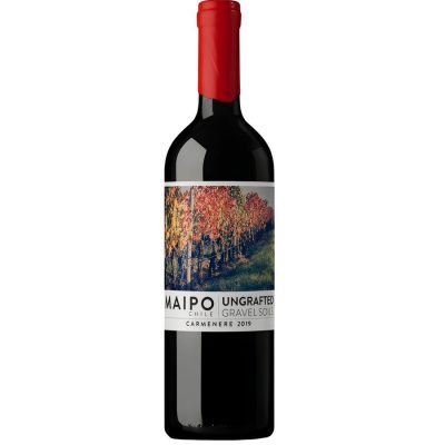 De Martino Ungrafted Maipo Carmenere 2022
