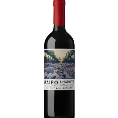 De Martino Ungrafted Maipo Cab. Sauvignon 2022