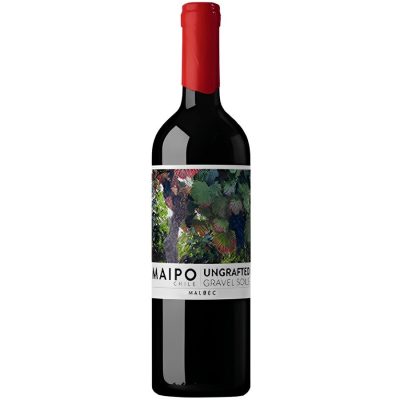 De Martino Ungrafted Itata Malbec 2022