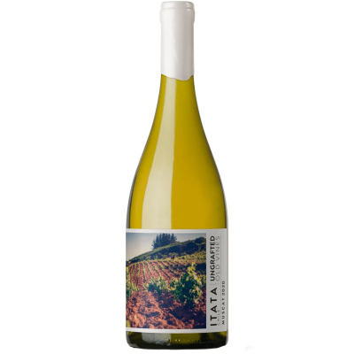 De Martino Ungrafted Itata Muscat 2023