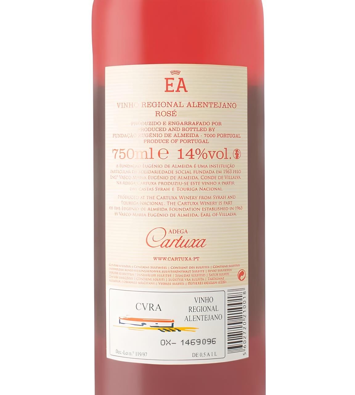 WhatsApp Image 2026-02-10 at 16.42.29