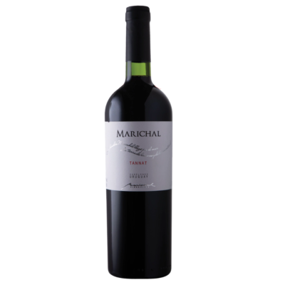 Marichal Premium Varietal Tannat 2023
